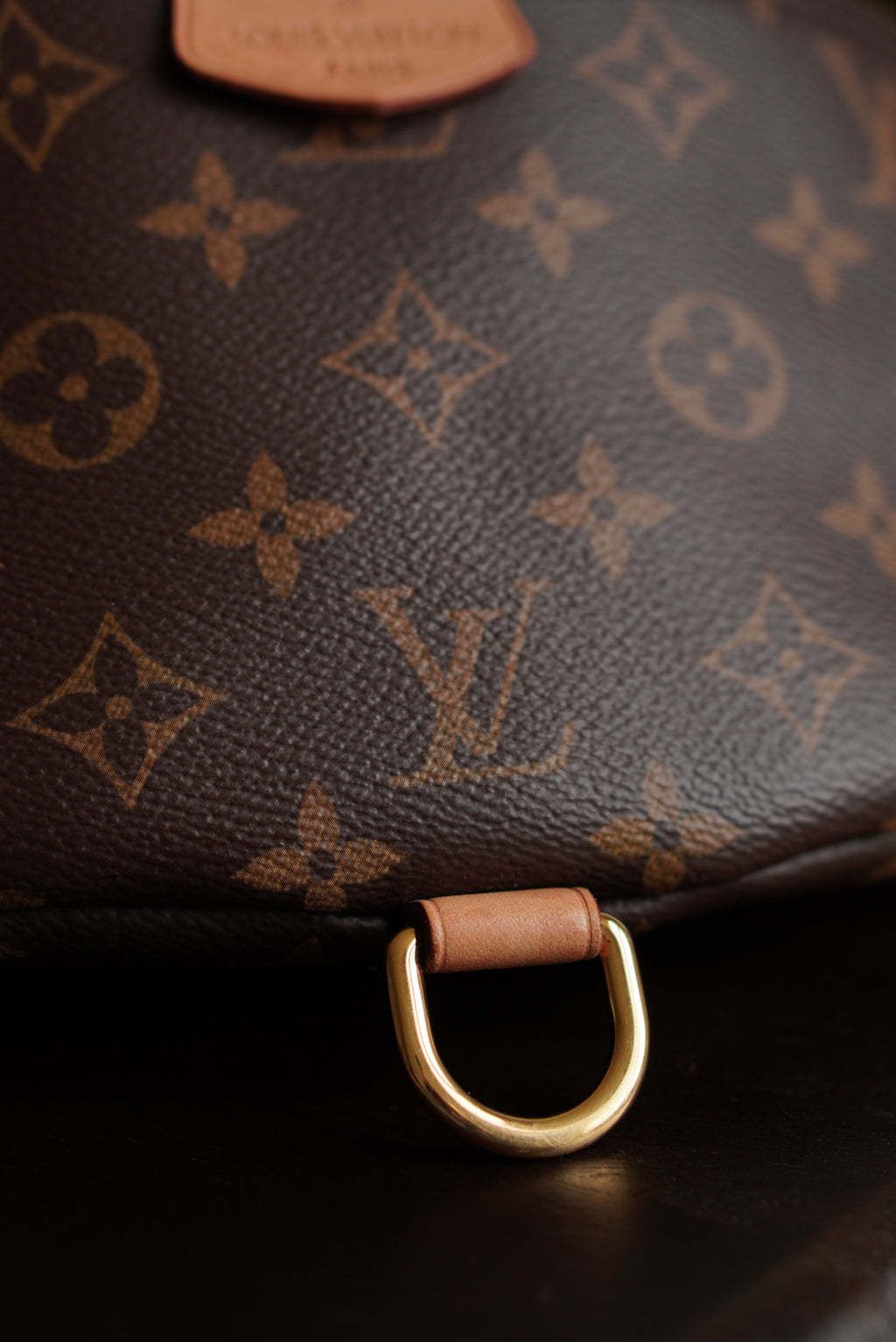 LOUIS VUITTON BUMBAG