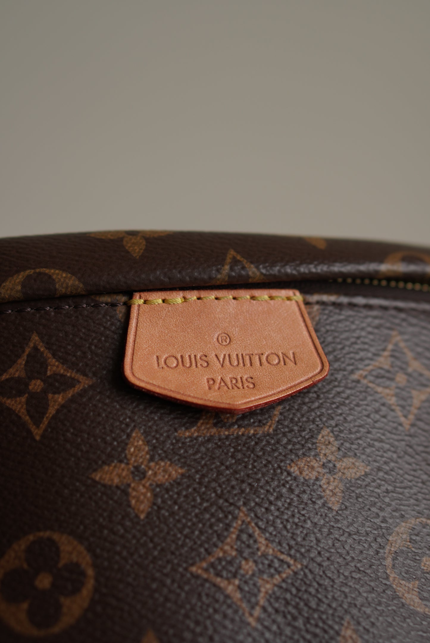 LOUIS VUITTON BUMBAG