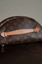 LOUIS VUITTON BUMBAG