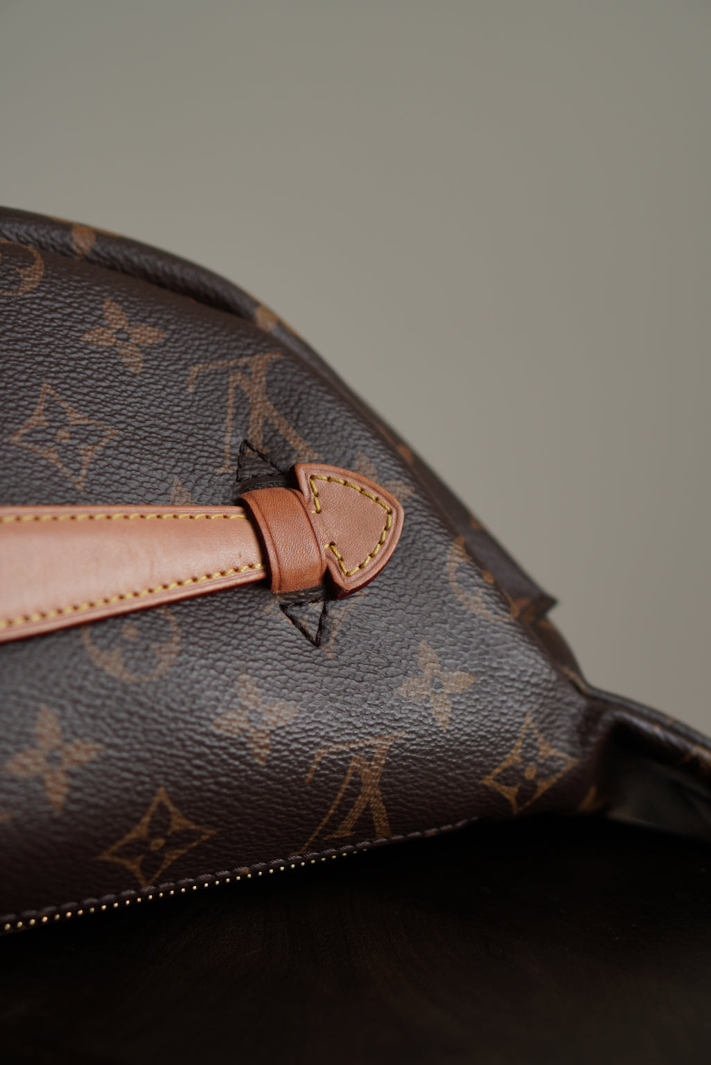 LOUIS VUITTON BUMBAG