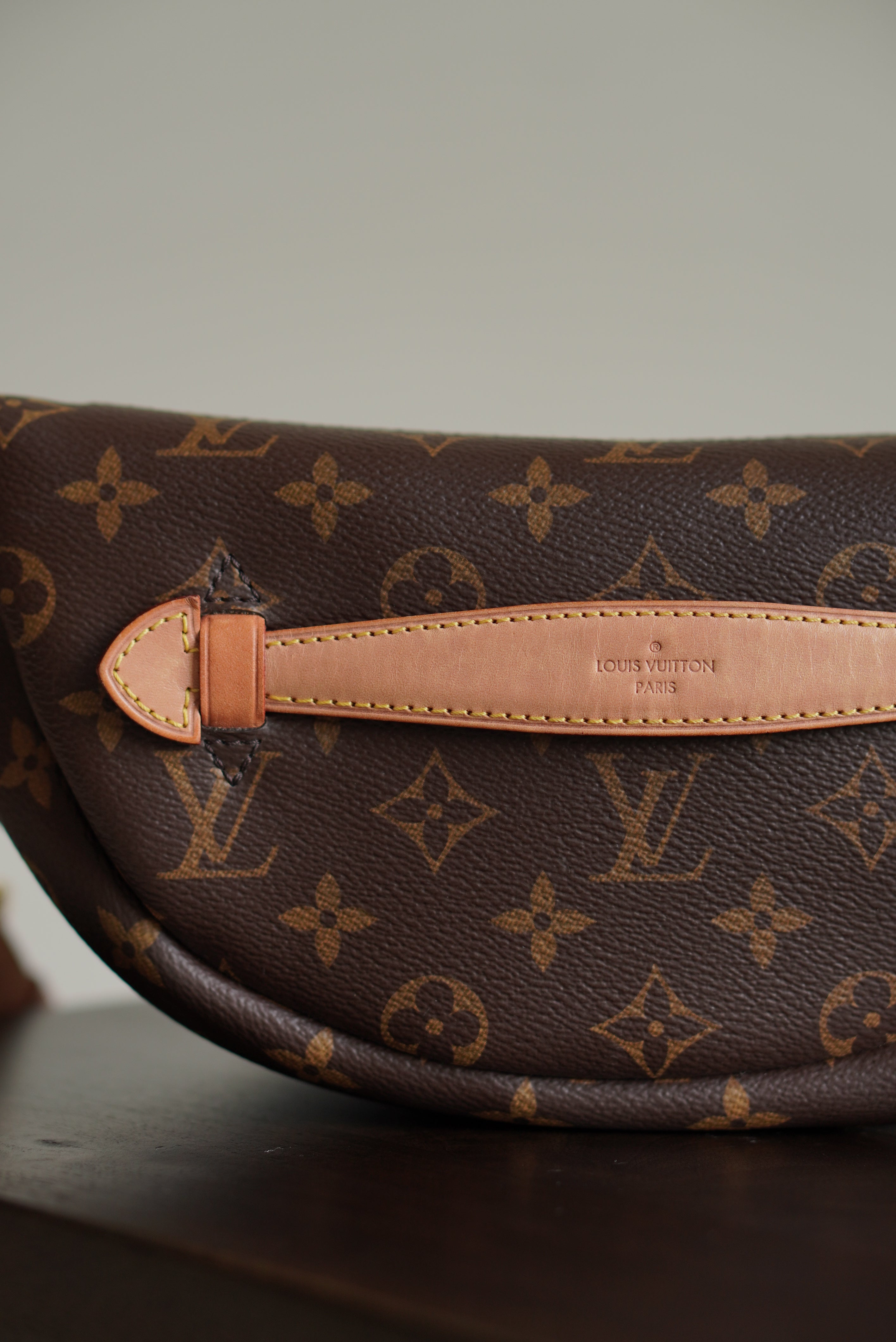 LOUIS VUITTON BUMBAG
