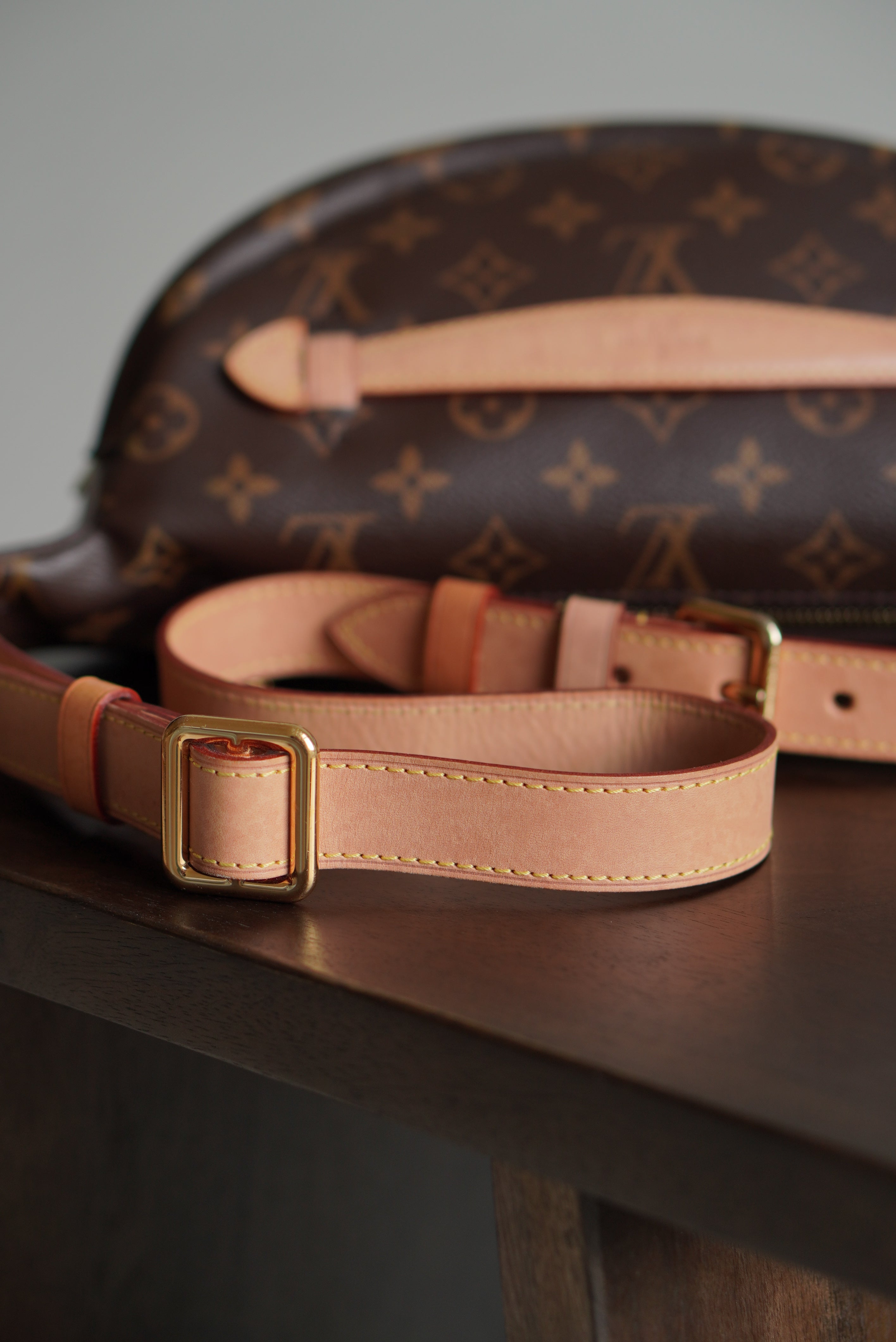LOUIS VUITTON BUMBAG