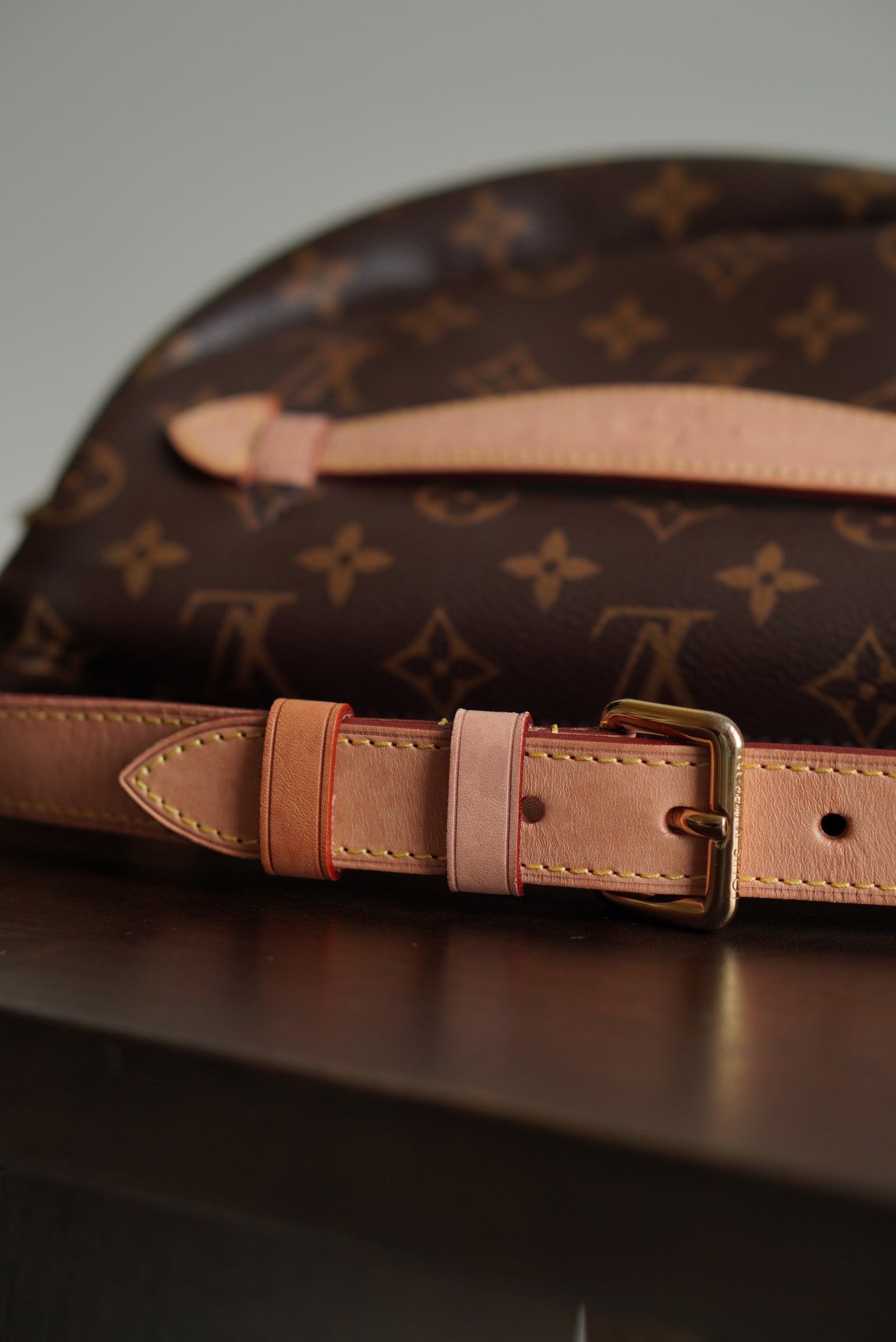 LOUIS VUITTON BUMBAG