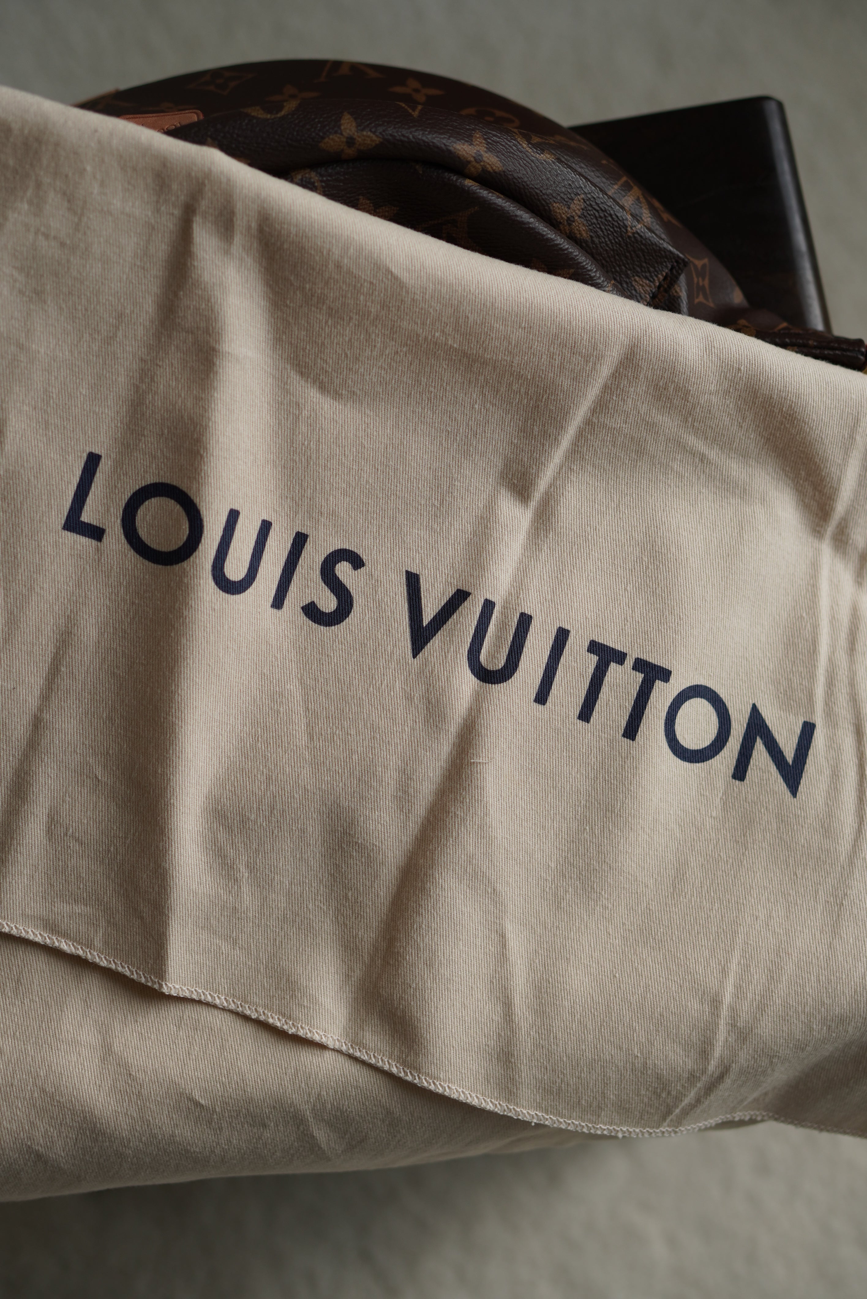 LOUIS VUITTON BUMBAG