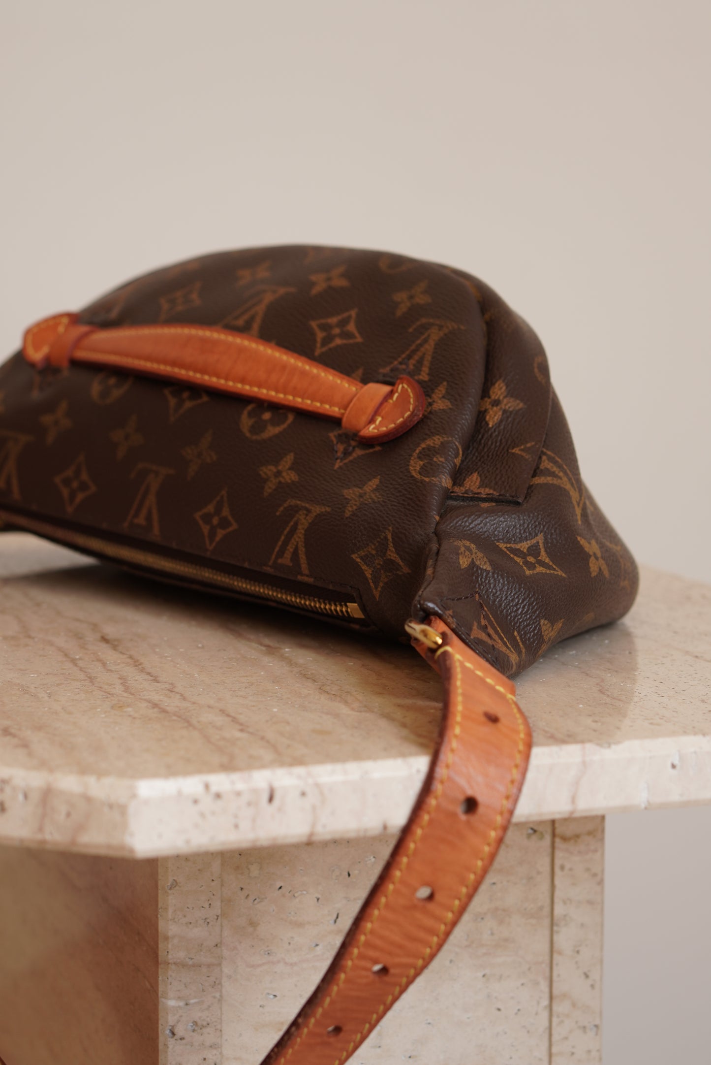 LOUIS VUITTON BUMBAG