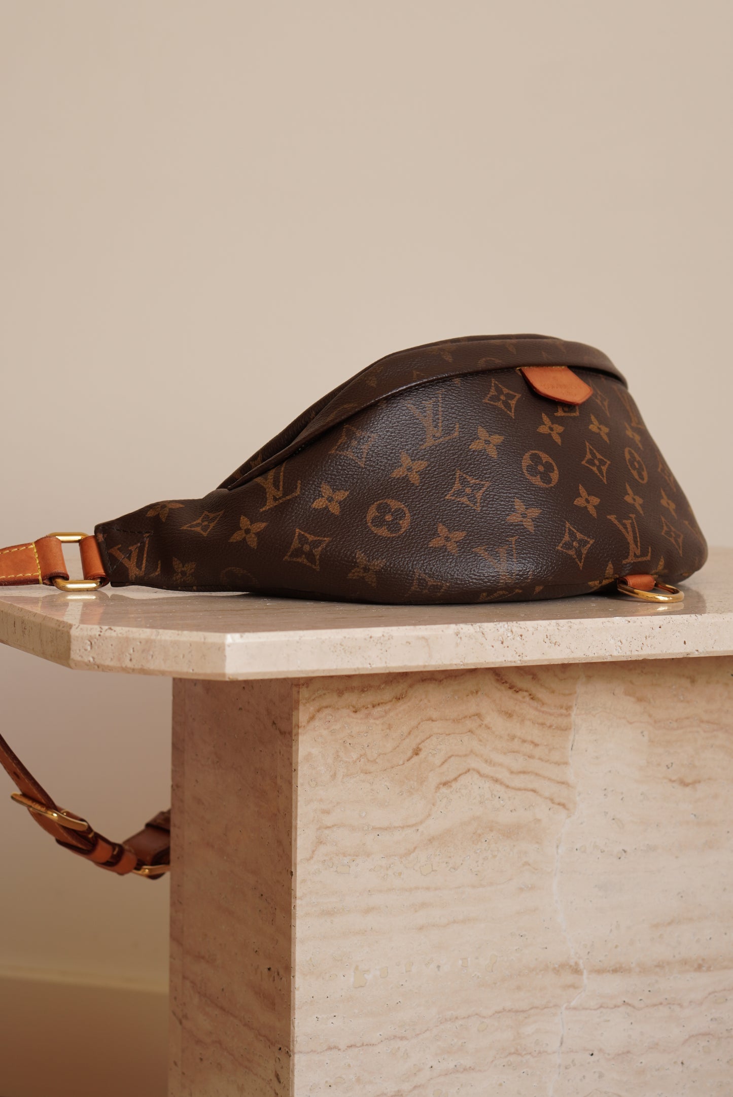 LOUIS VUITTON BUMBAG