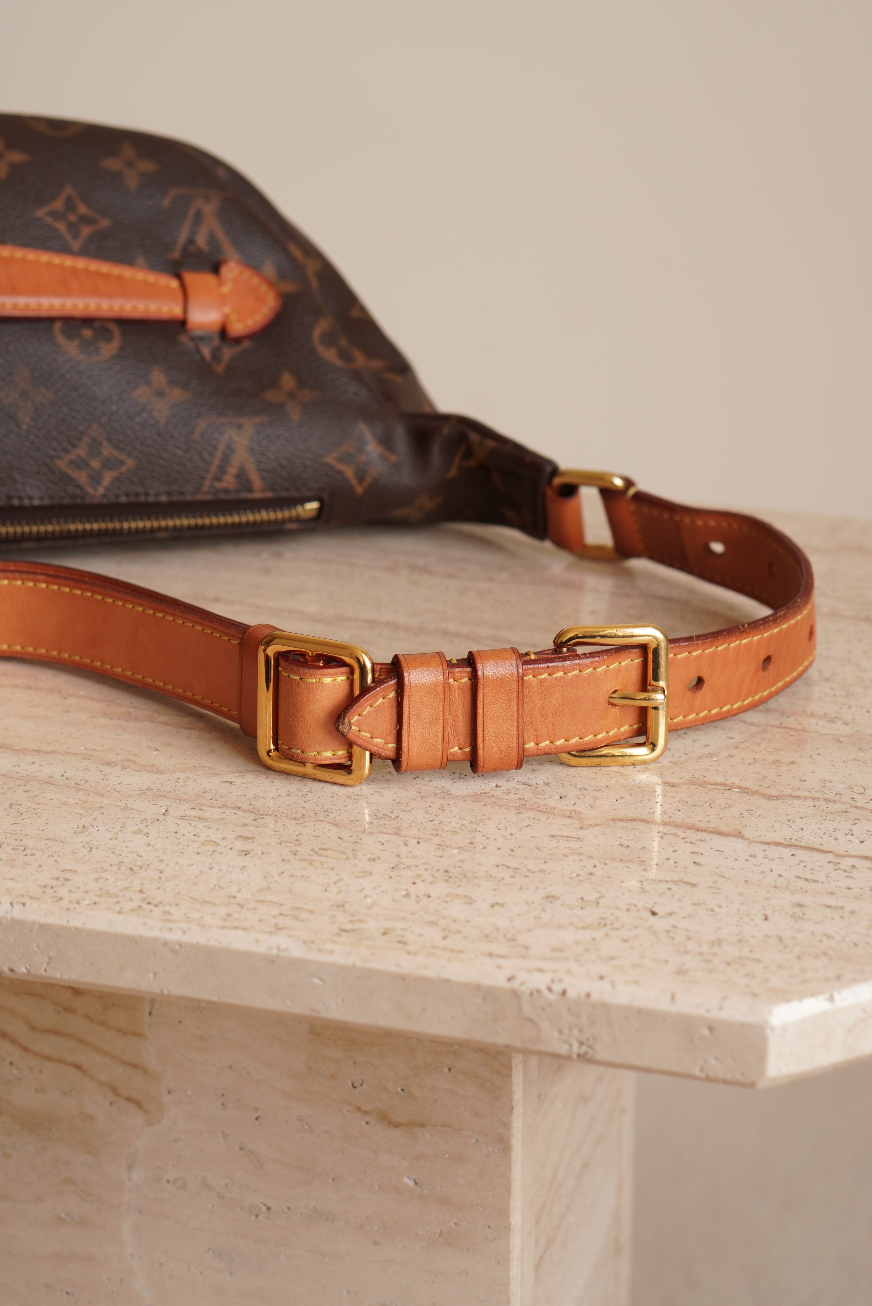 LOUIS VUITTON BUMBAG