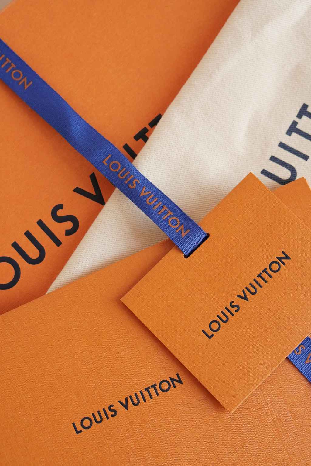 LOUIS VUITTON COSMETIC POUCH PM