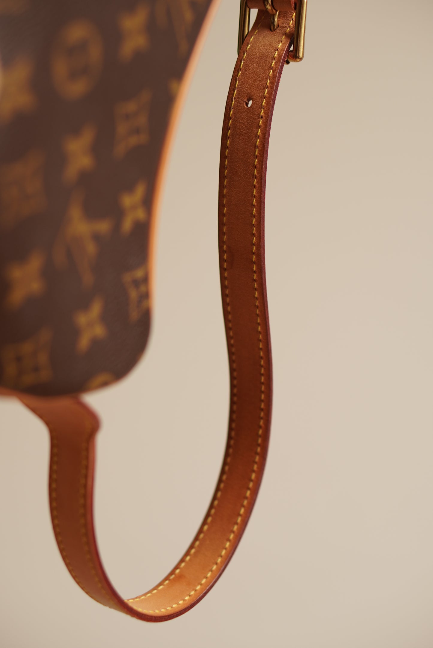 LOUIS VUITTON CROISSANT PM