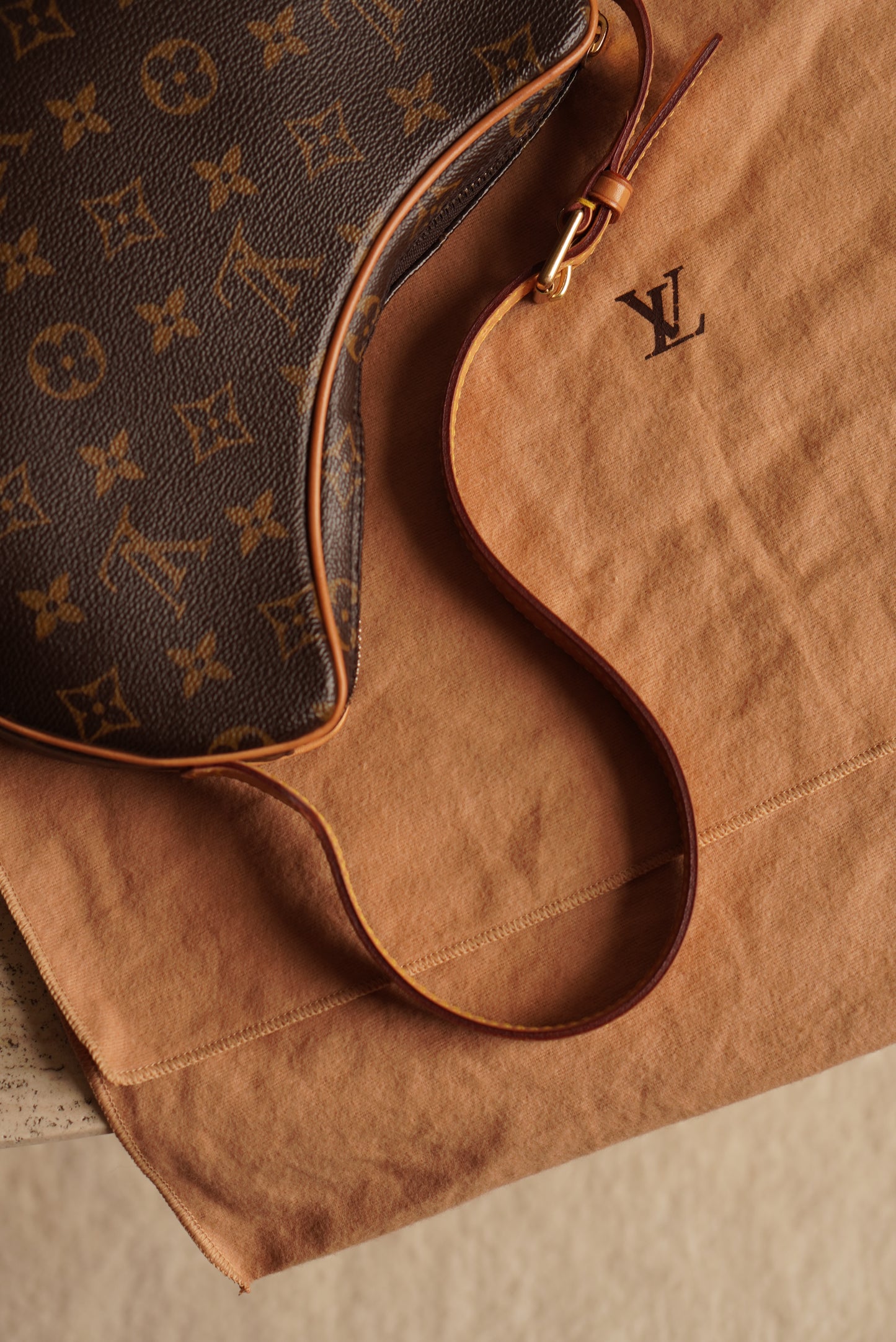LOUIS VUITTON CROISSANT PM