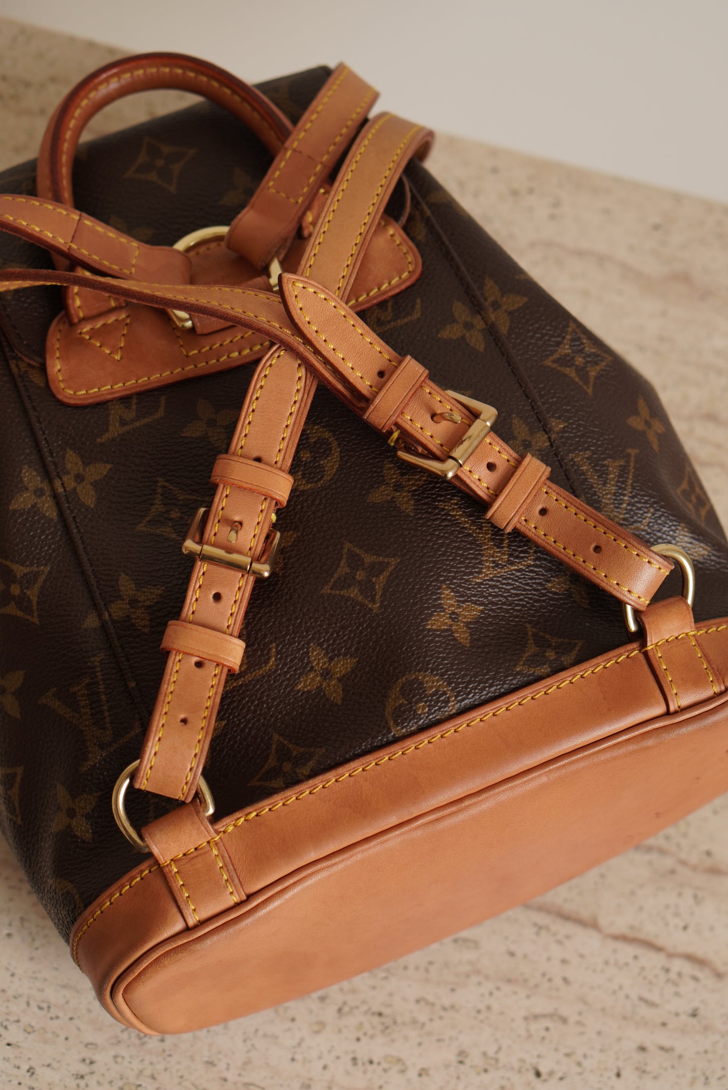 LOUIS VUITTON MONTSOURIS PM