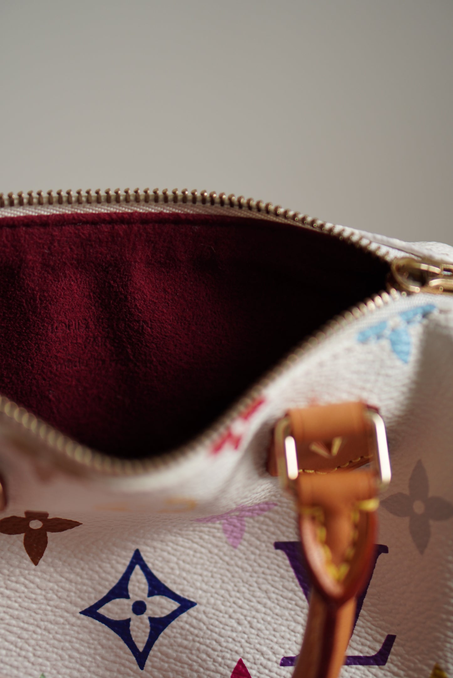 LOUIS VUITTON NANO SPEEDY