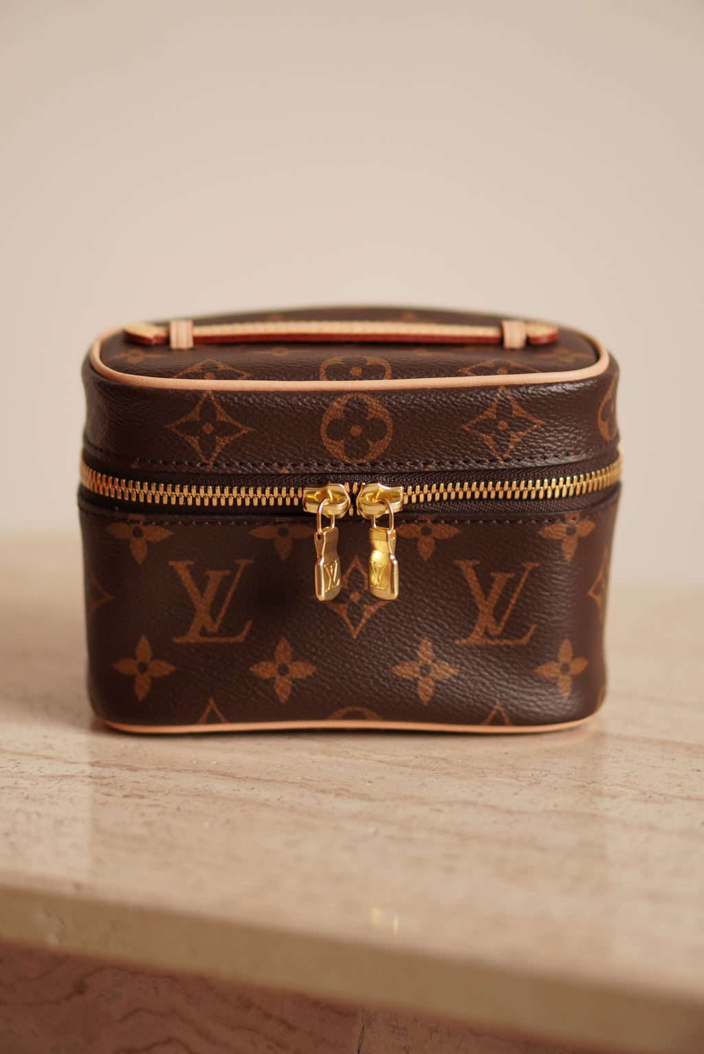 LOUIS VUITTON NICE NANO