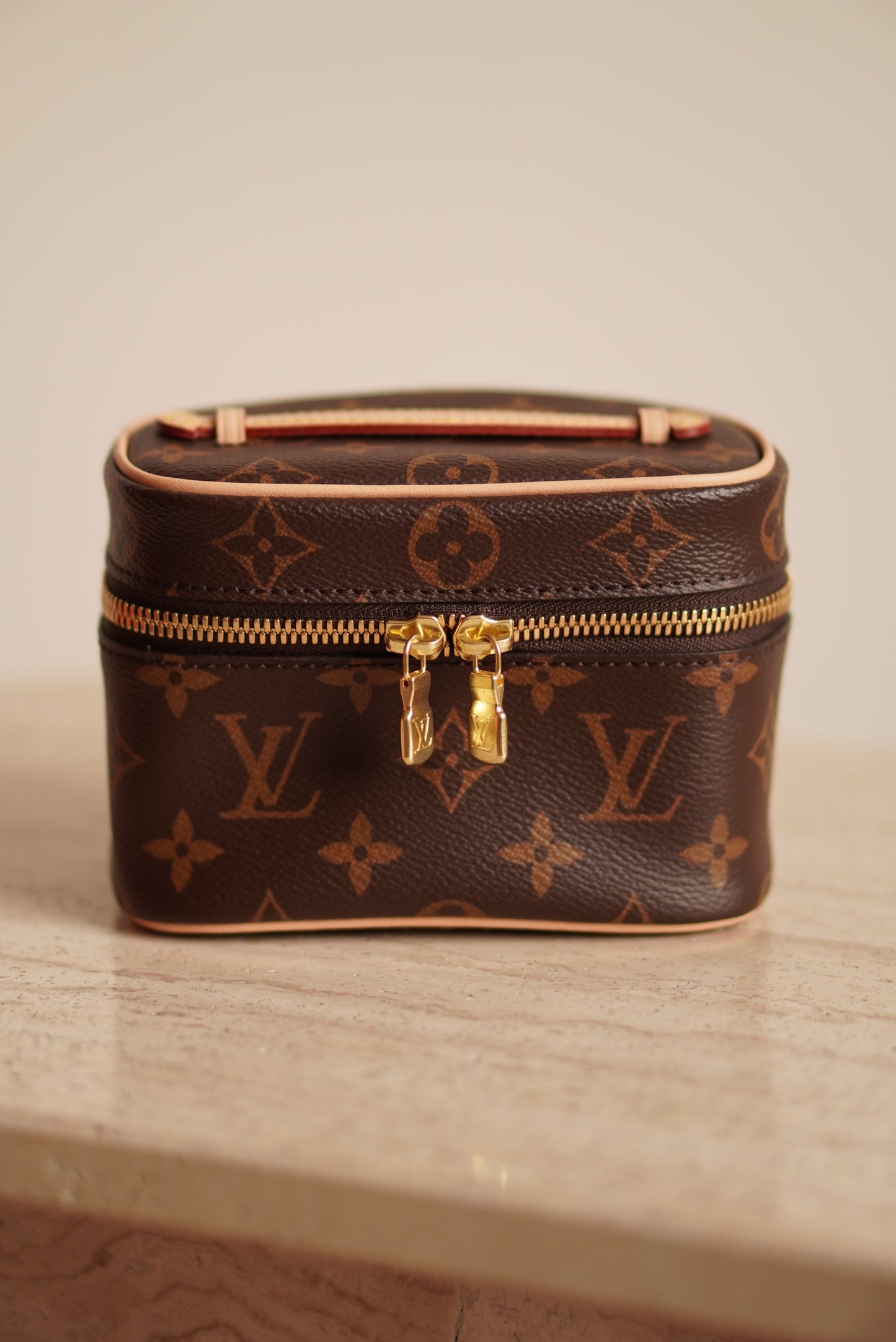 LOUIS VUITTON NICE NANO