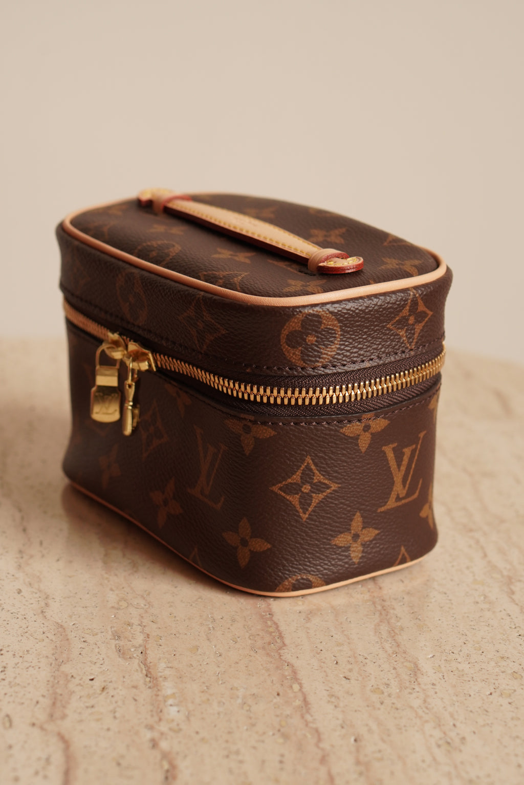 LOUIS VUITTON NICE NANO