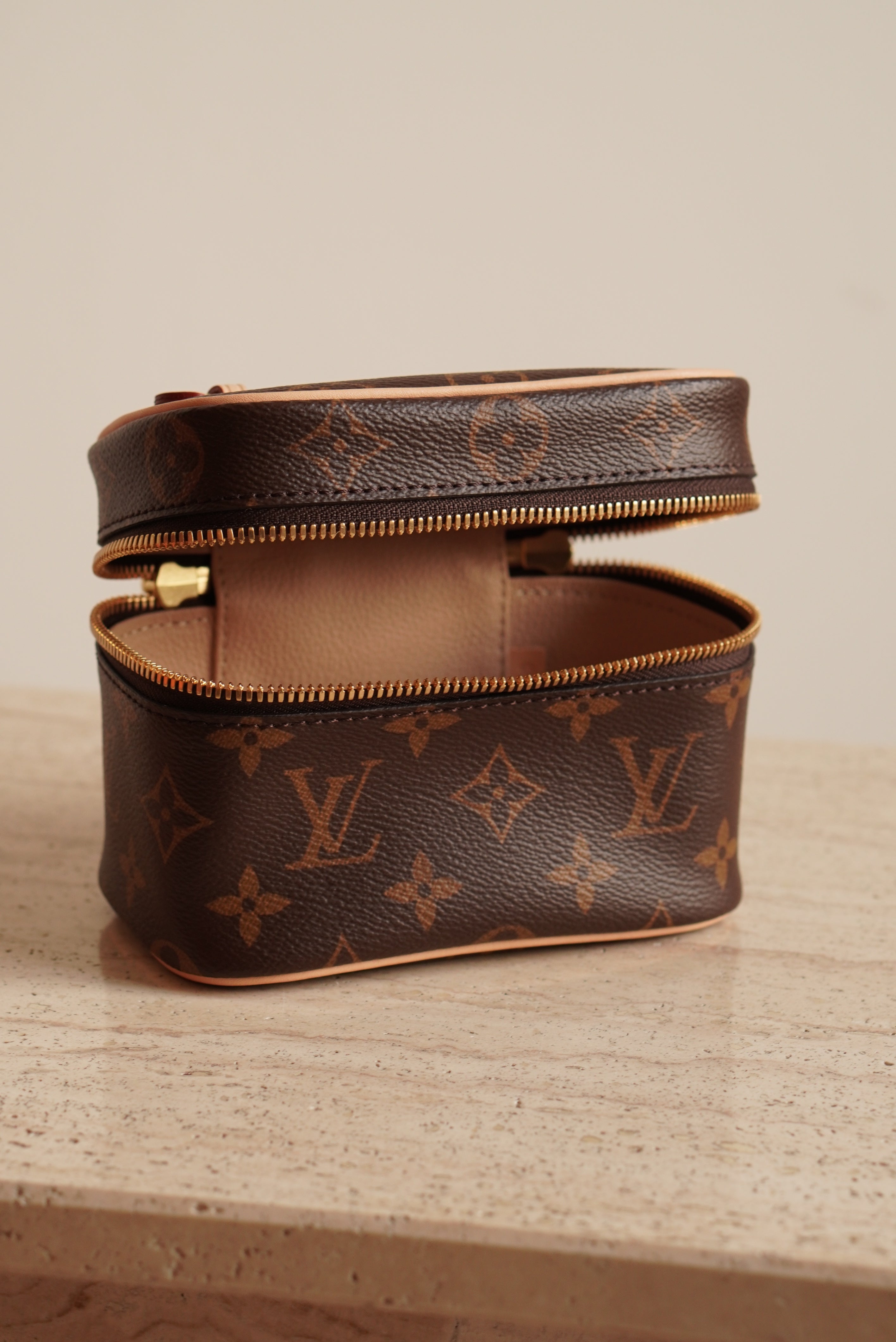 LOUIS VUITTON NICE NANO