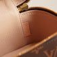 LOUIS VUITTON NICE NANO