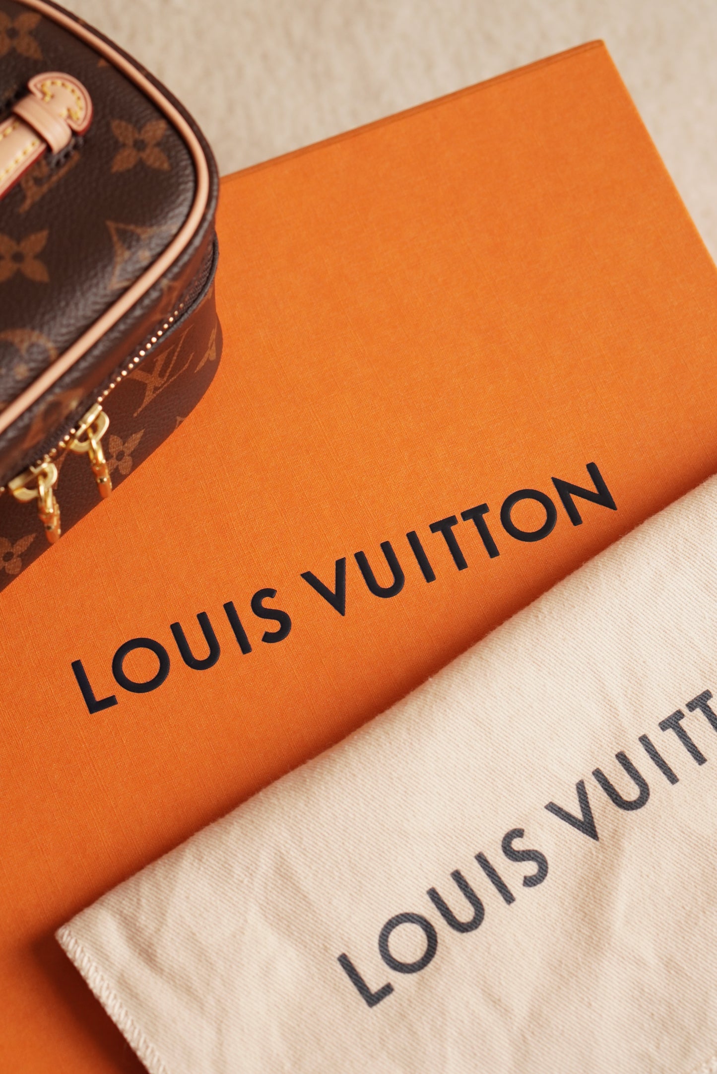LOUIS VUITTON NICE NANO