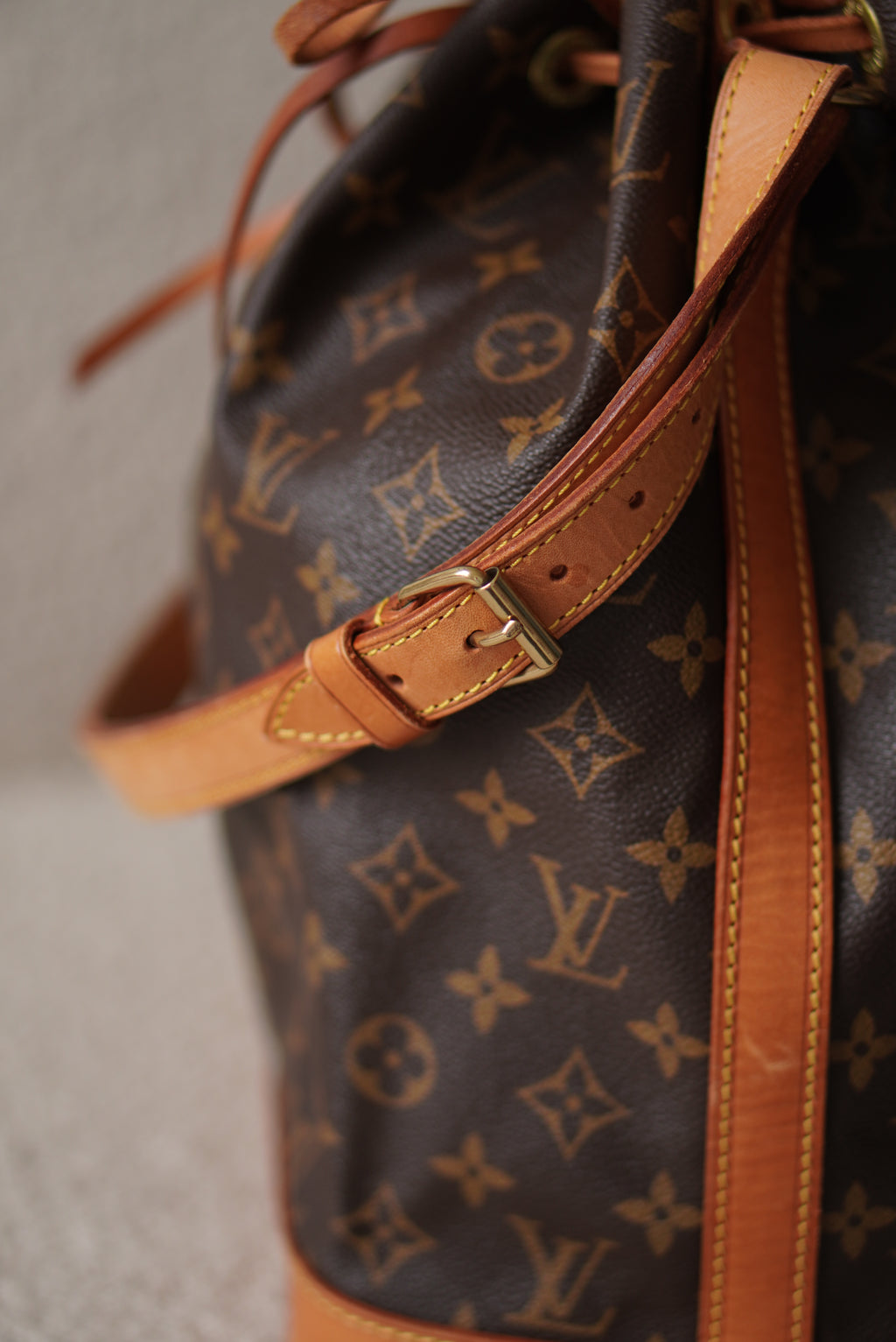 LOUIS VUITTON NOÉ GM