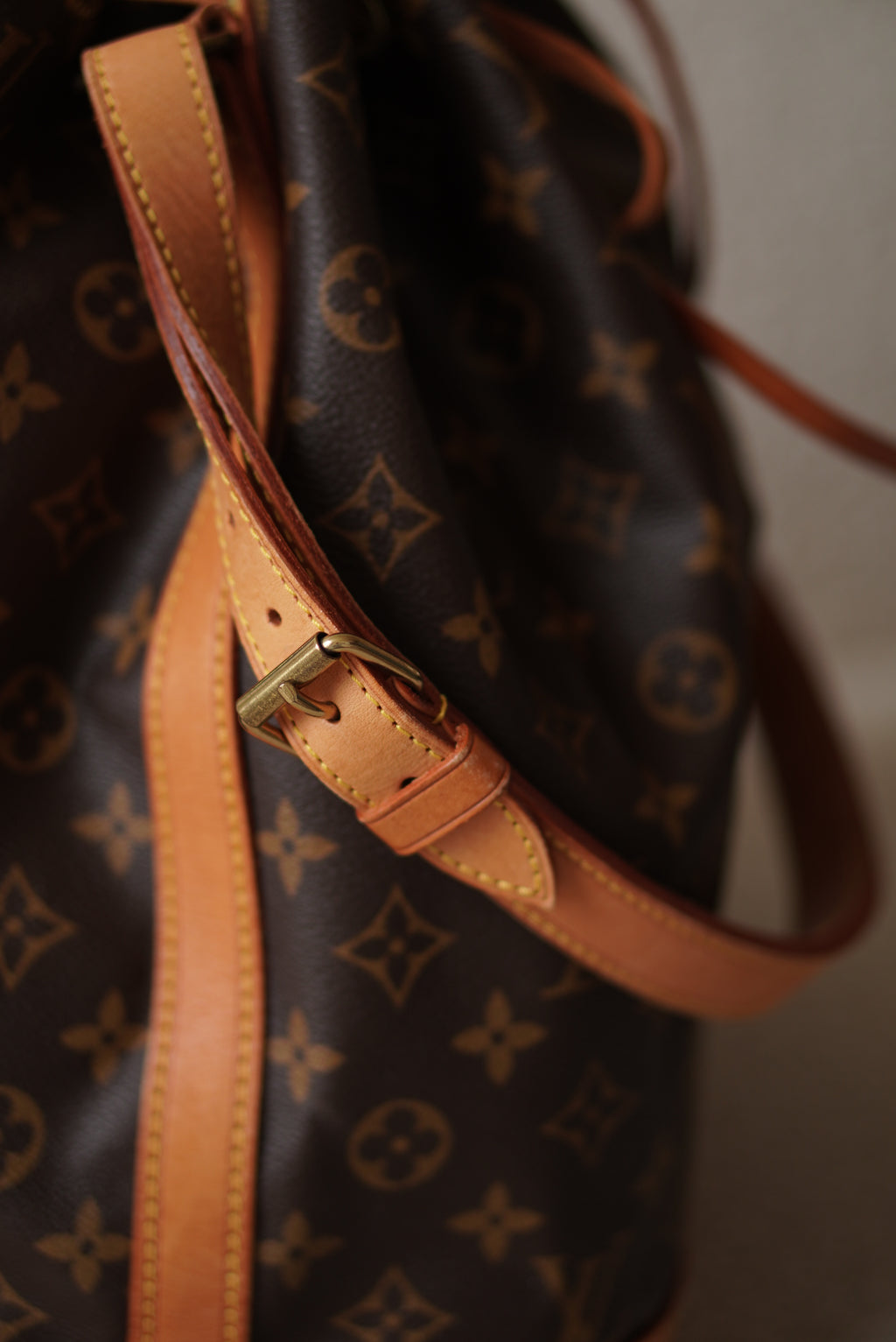 LOUIS VUITTON NOÉ GM