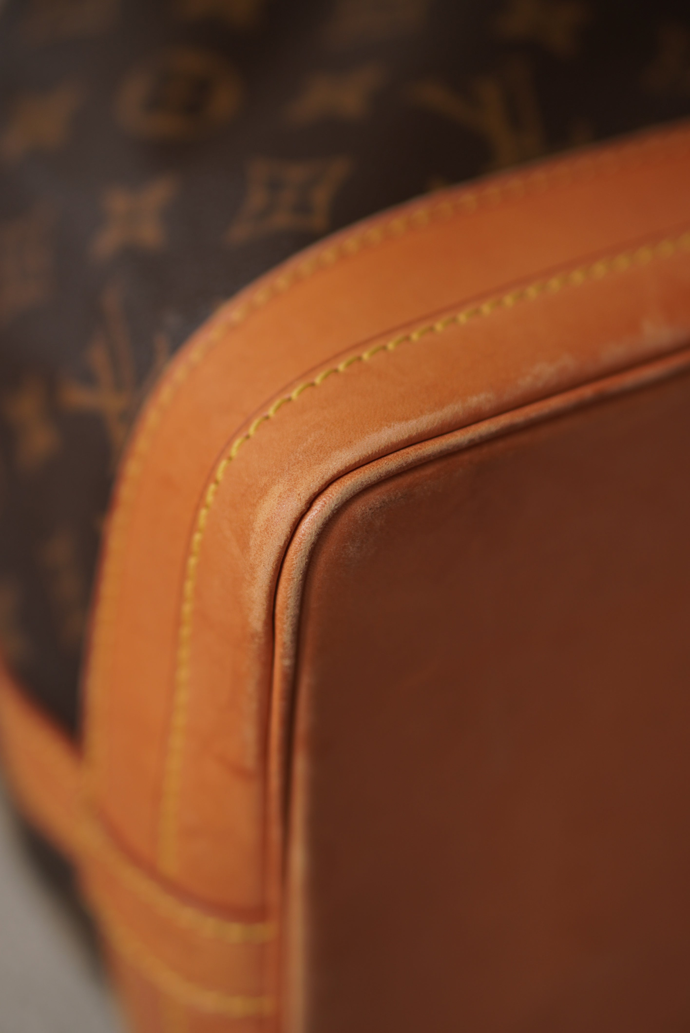 LOUIS VUITTON NOÉ GM