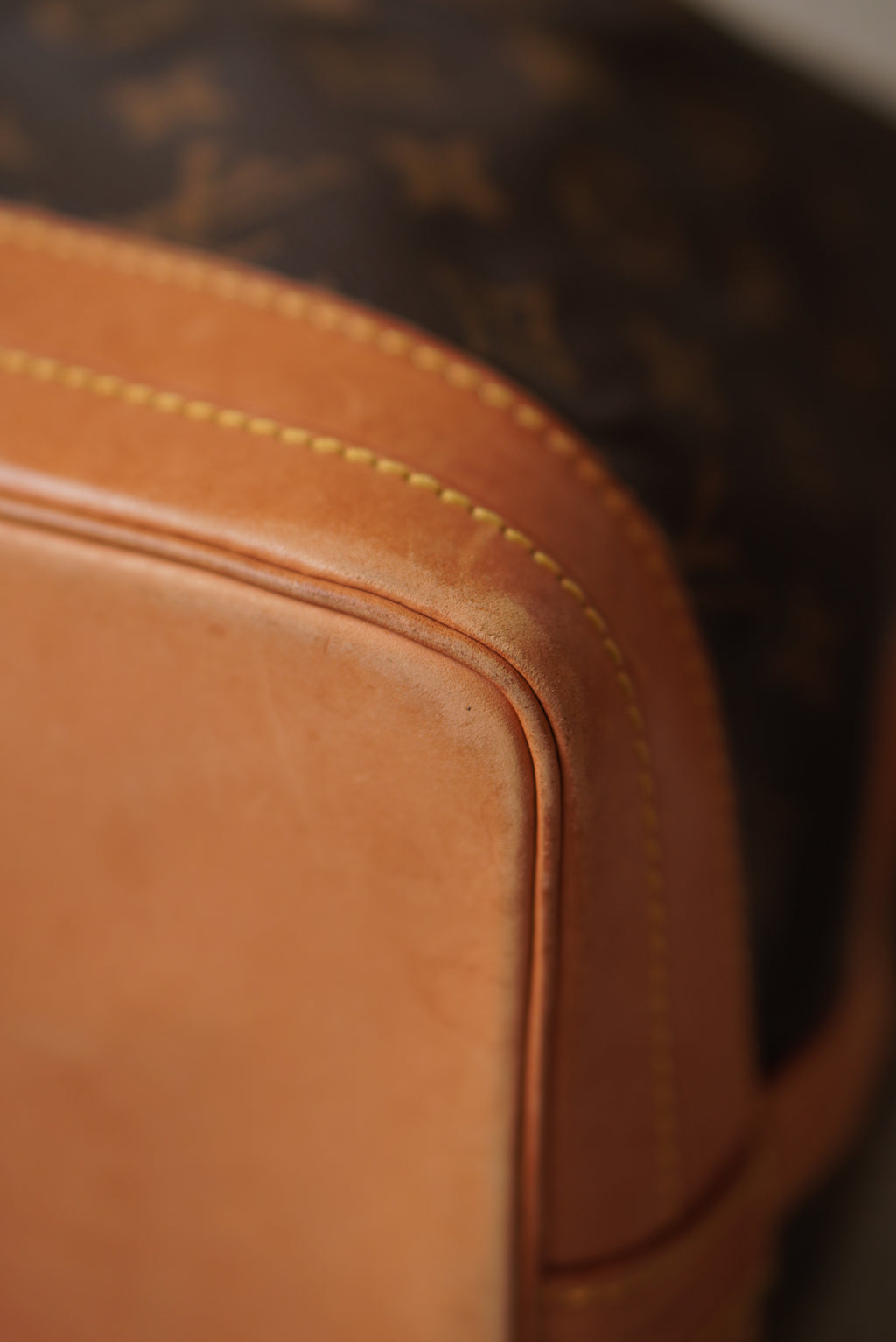 LOUIS VUITTON NOÉ GM