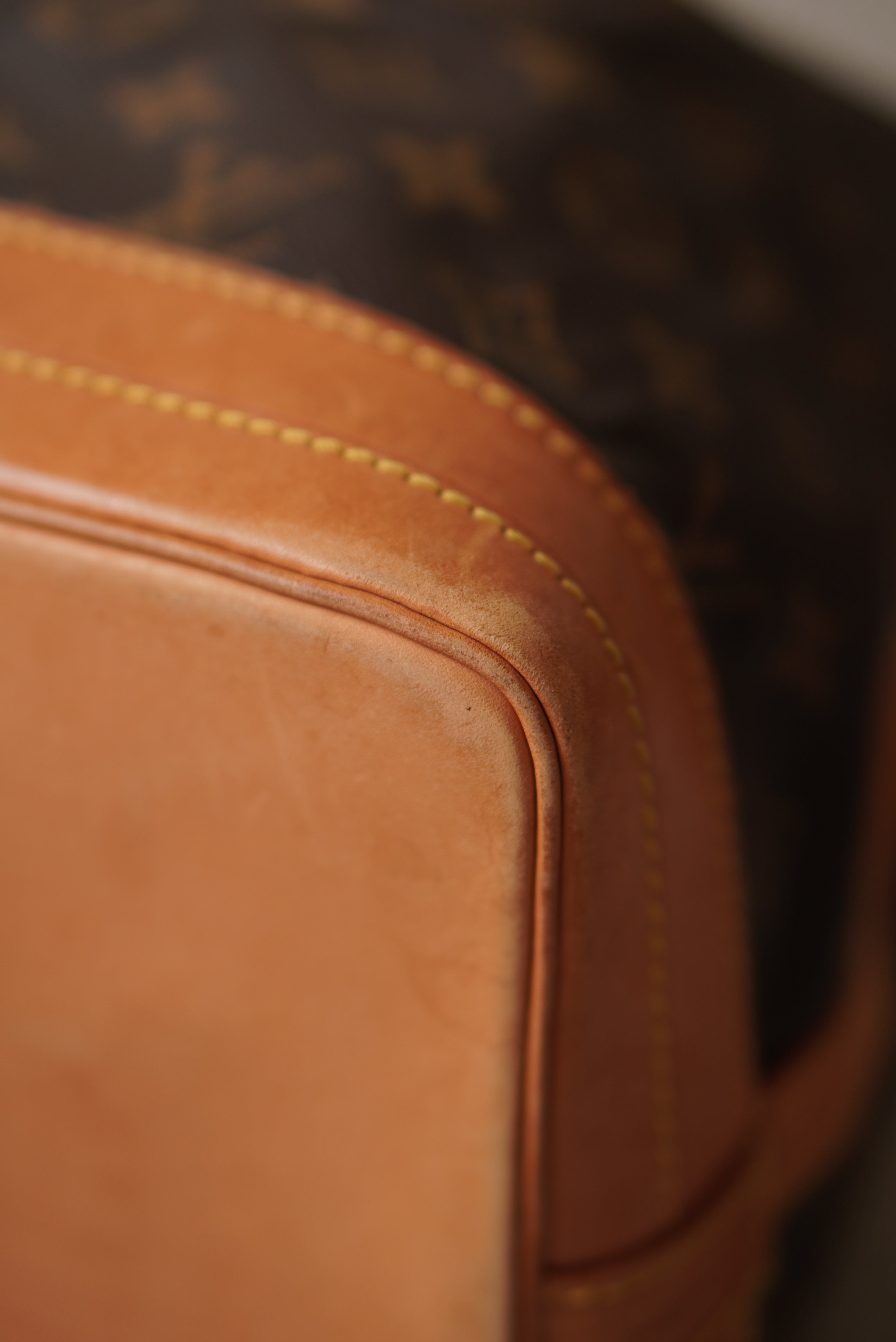 LOUIS VUITTON NOÉ GM