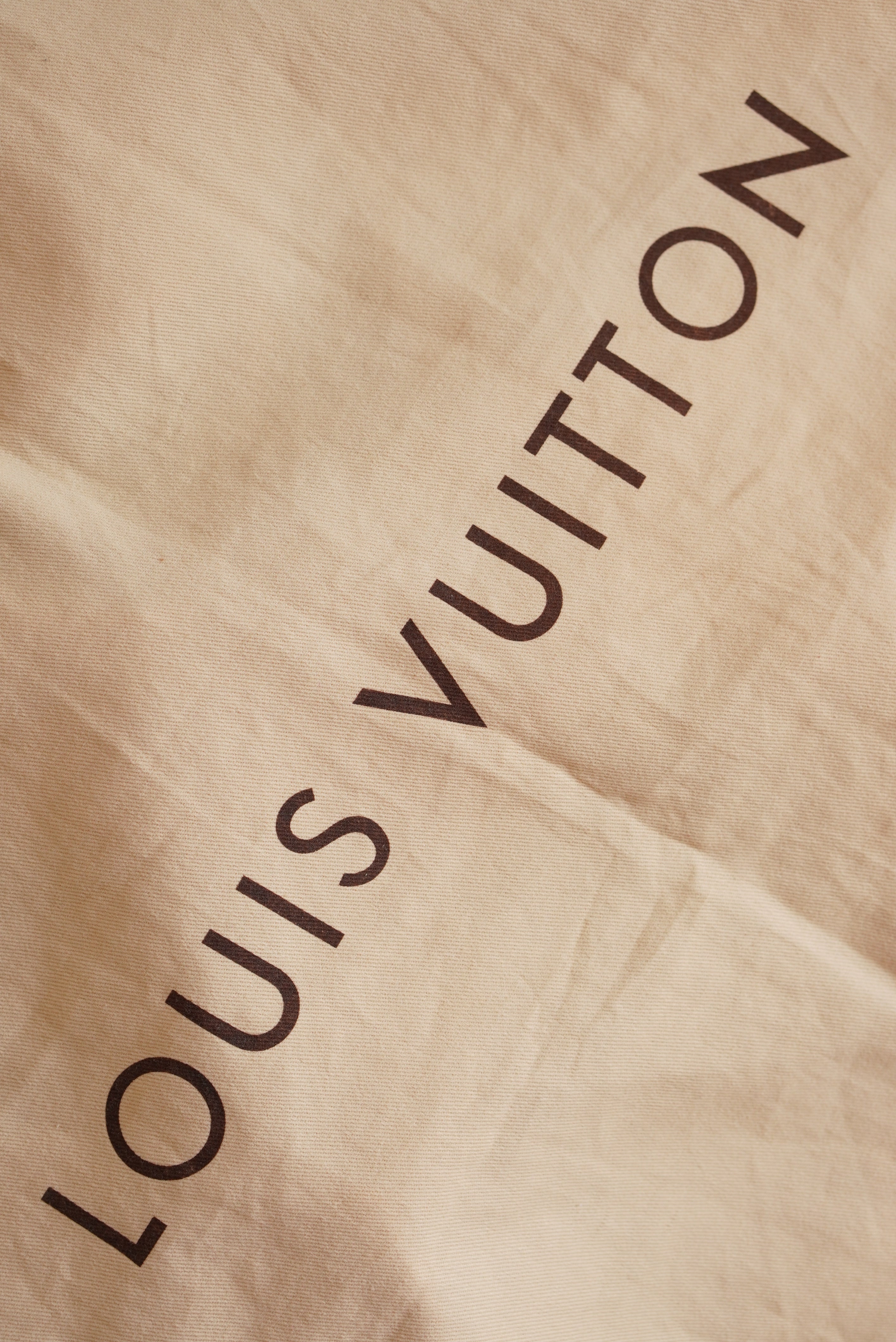LOUIS VUITTON PEGASE TROLLEY CASE | DAMIER GRAPHITE CANVAS