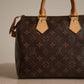 LOUIS VUITTON SPEEDY 25