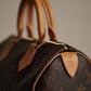 LOUIS VUITTON SPEEDY 25