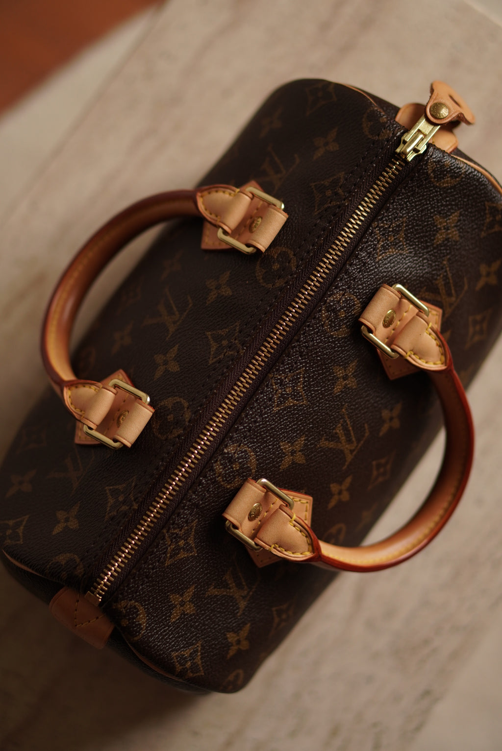 LOUIS VUITTON SPEEDY 25