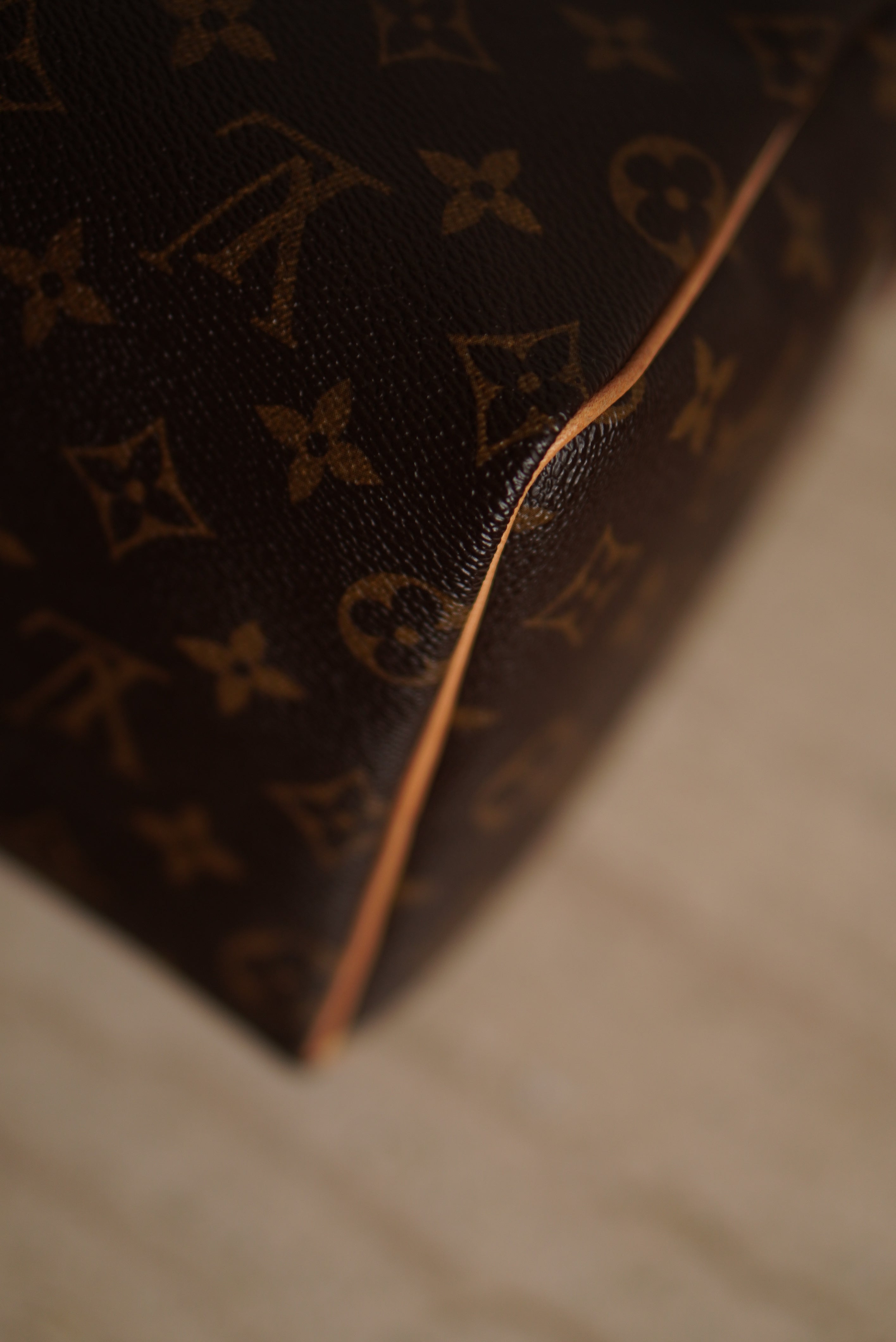 LOUIS VUITTON SPEEDY 25