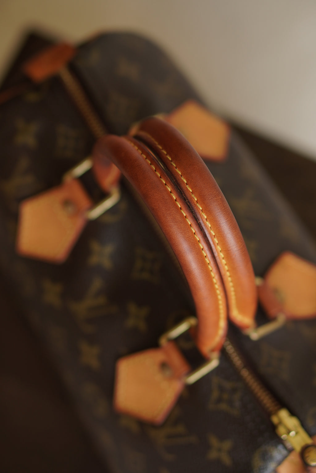 LOUIS VUITTON SPEEDY 25