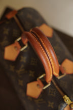 LOUIS VUITTON SPEEDY 25