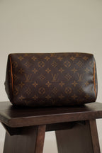 LOUIS VUITTON SPEEDY 25