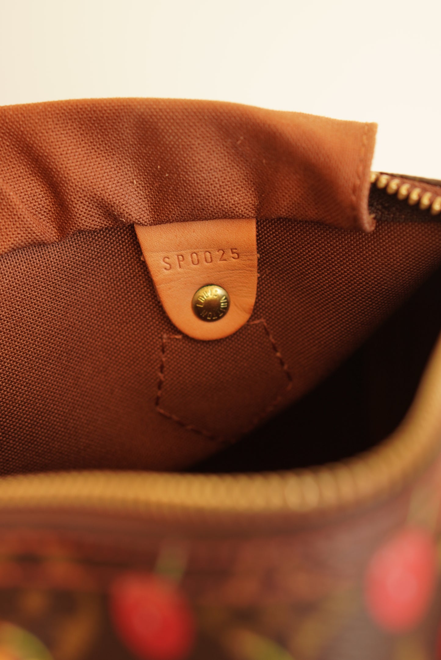 LOUIS VUITTON SPEEDY 25 | CHERRY
