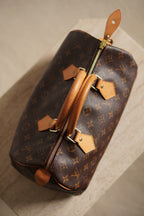 LOUIS VUITTON SPEEDY 30