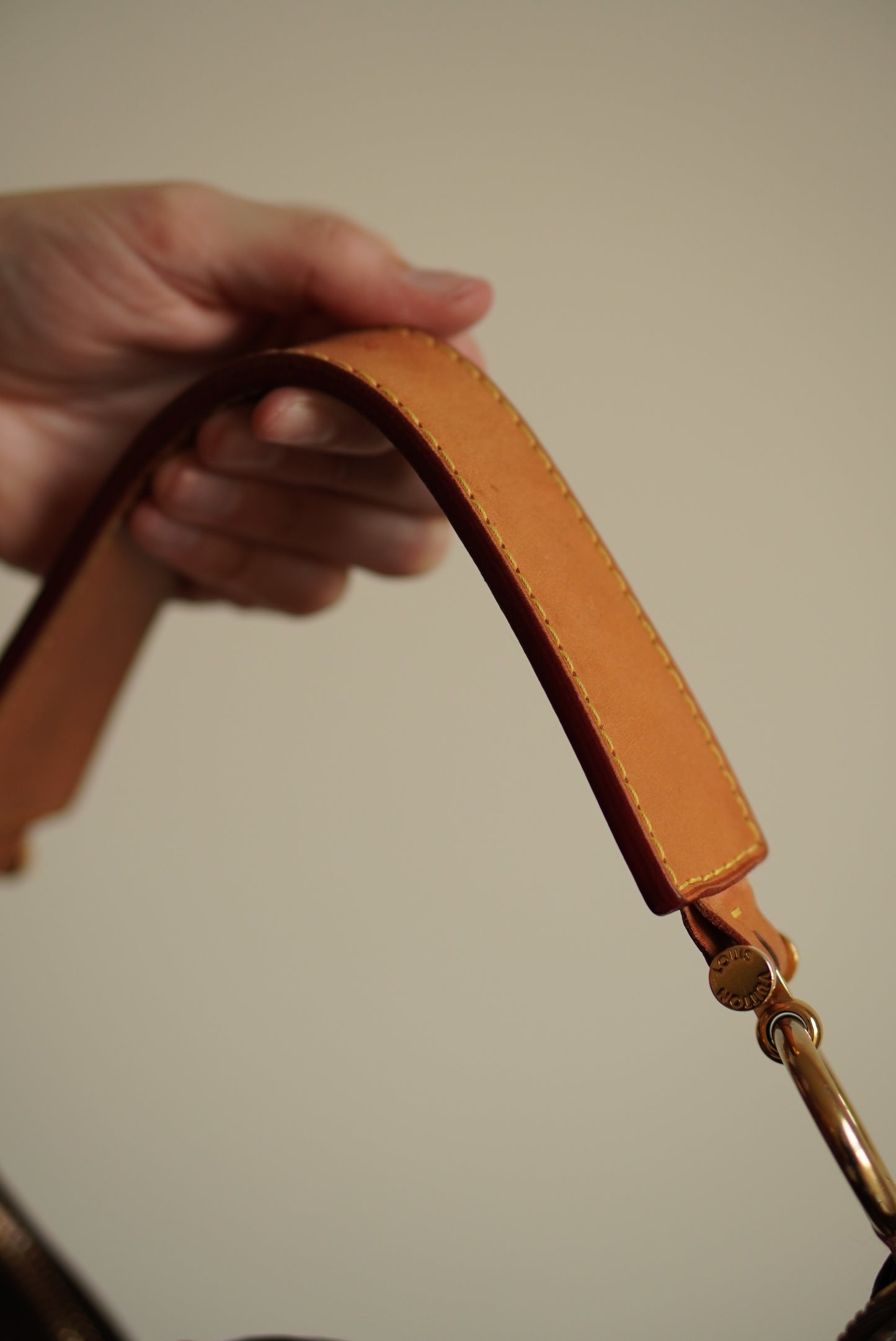 LOUIS VUITTON SULLY MM