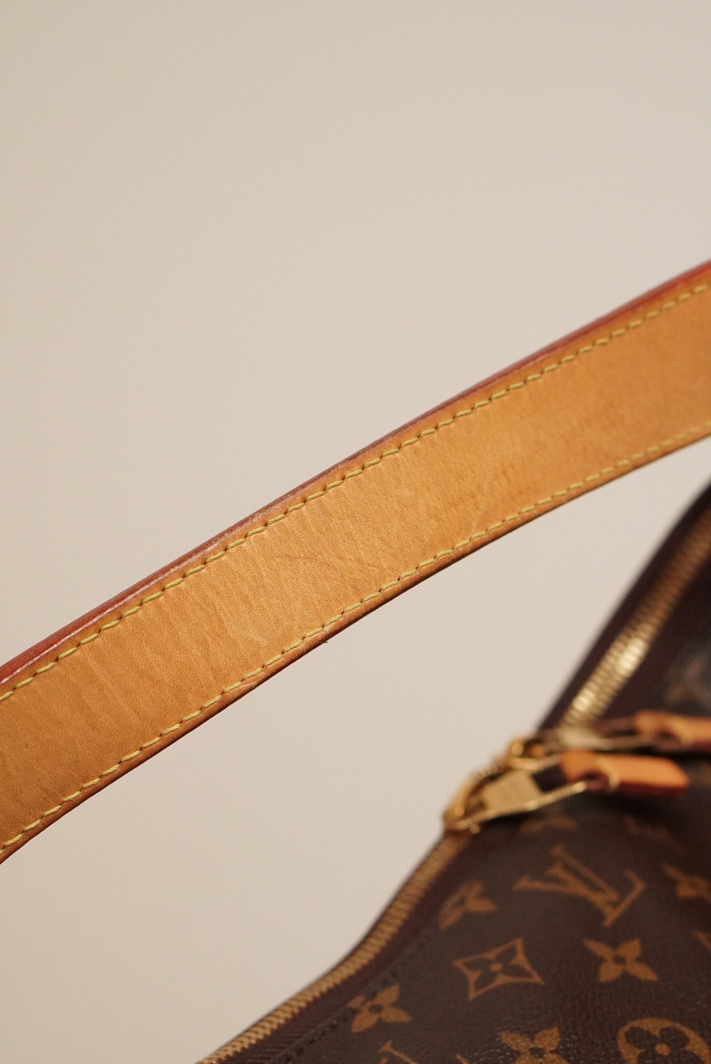 LOUIS VUITTON SULLY MM