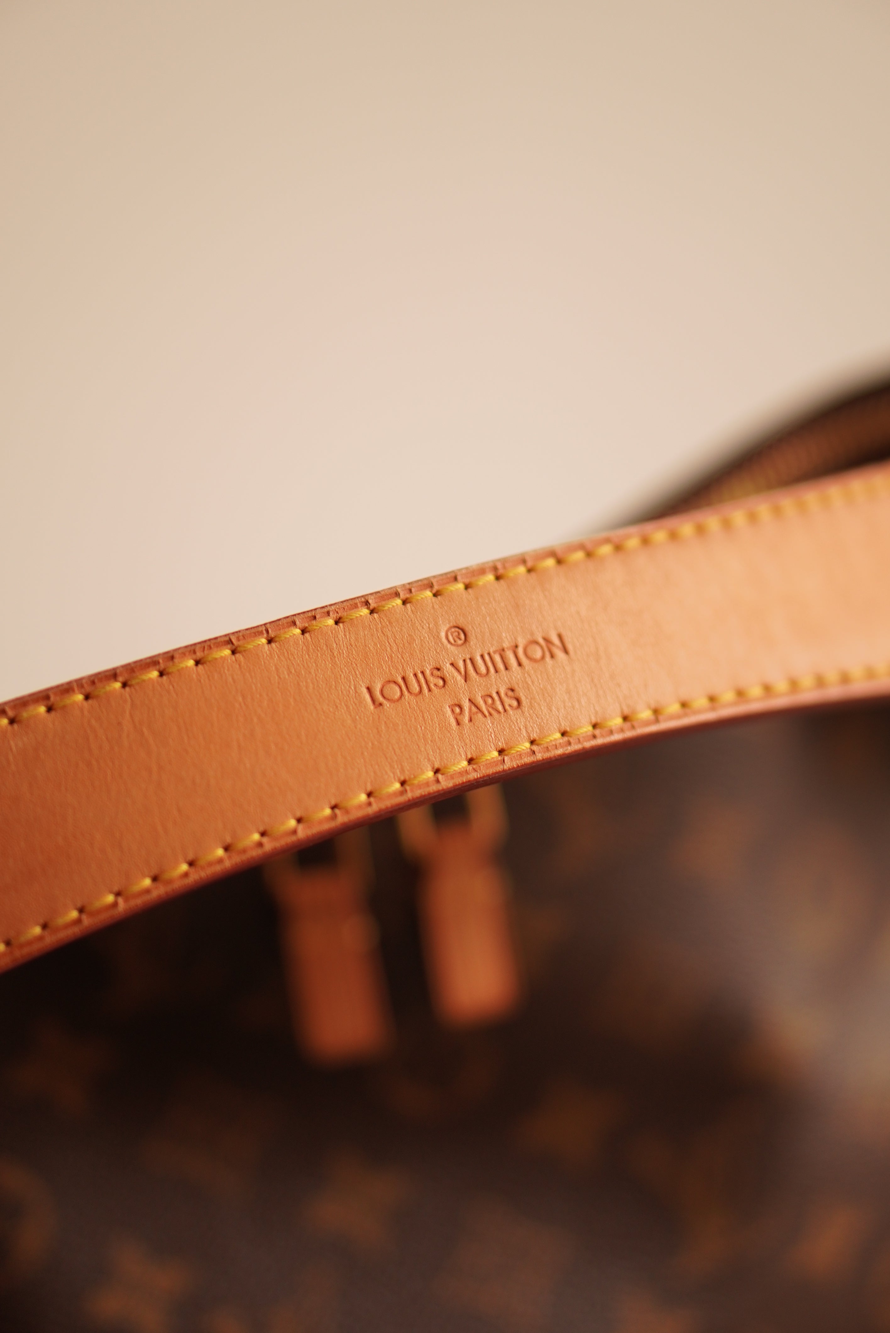 LOUIS VUITTON SULLY MM