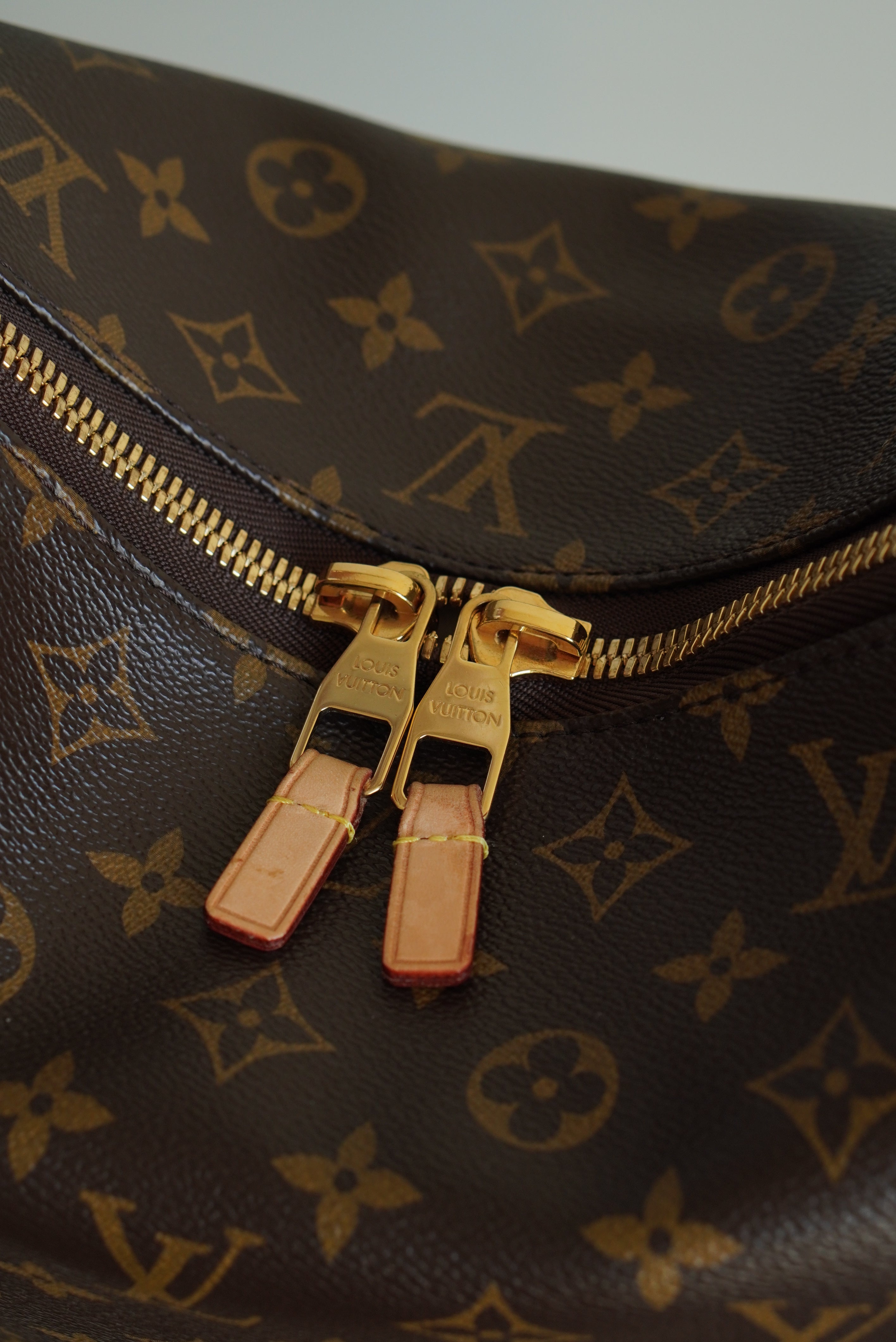 LOUIS VUITTON SULLY PM