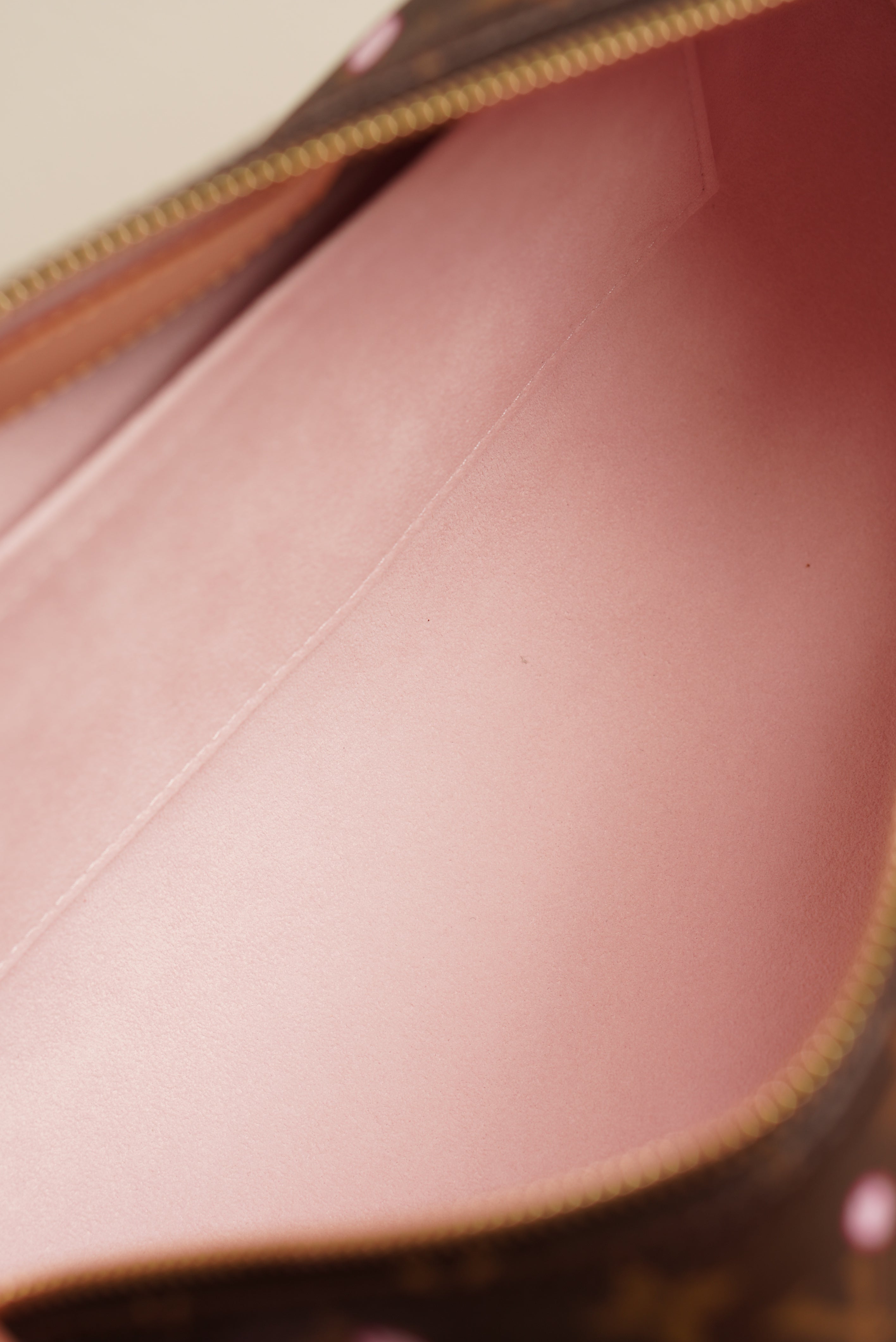 LOUIS VUITTON X TM PAPILLON