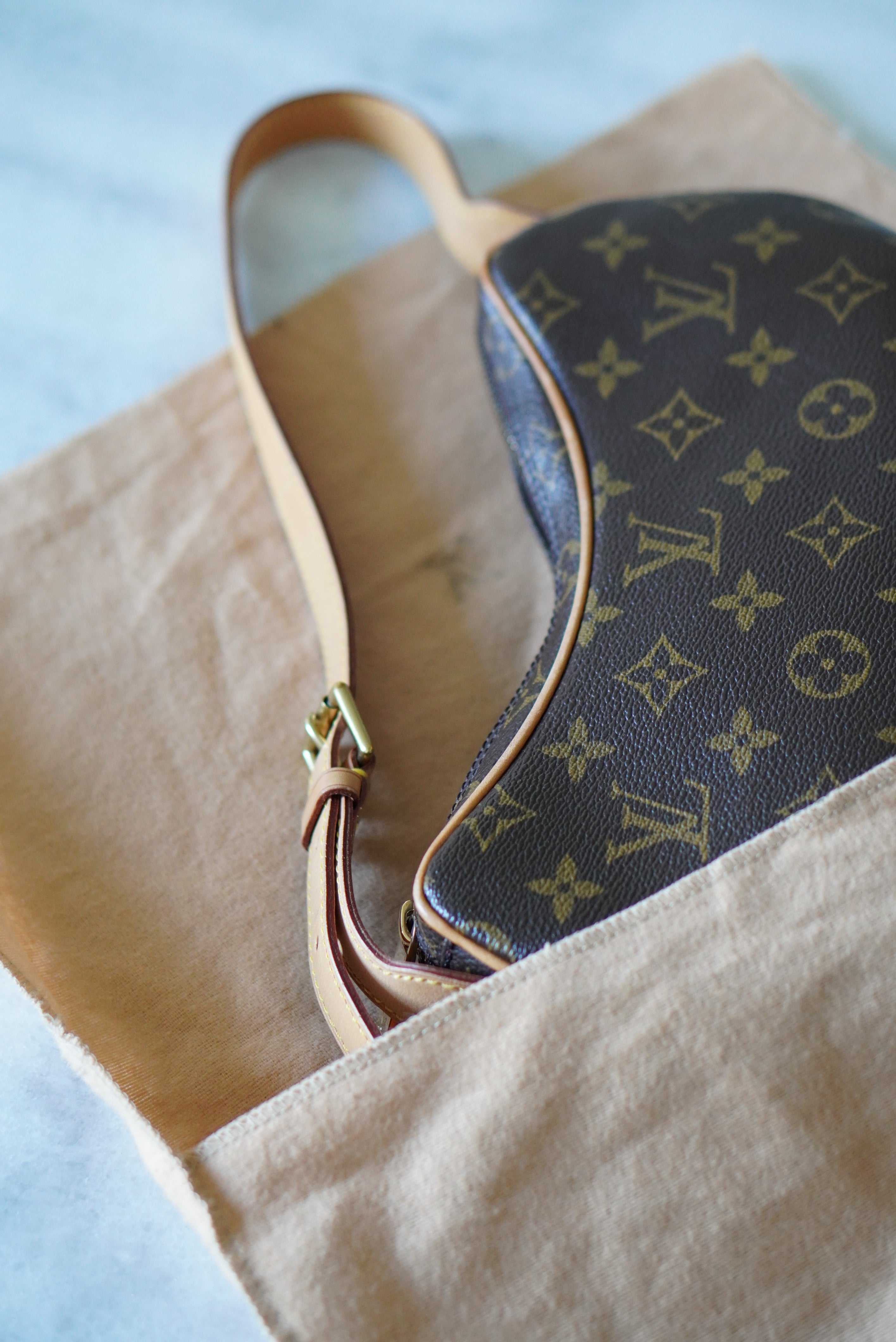 【限定品＊入手困難】LV Croissant PM バッグ【送料無料】 louis-vuitton-croissant-pm--