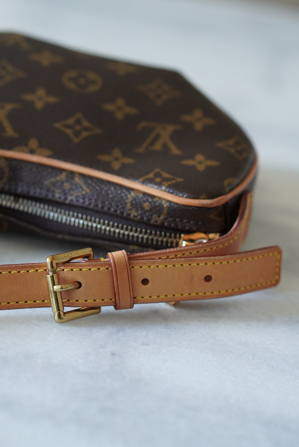 LOUIS VUITTON CROISSANT PM